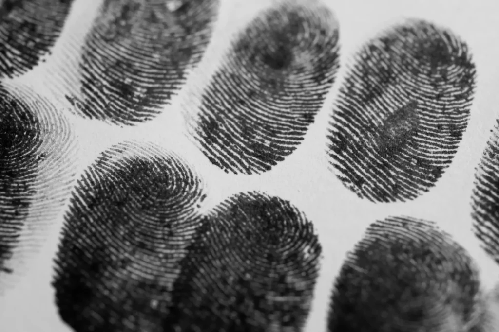 Fingerprints on a card.